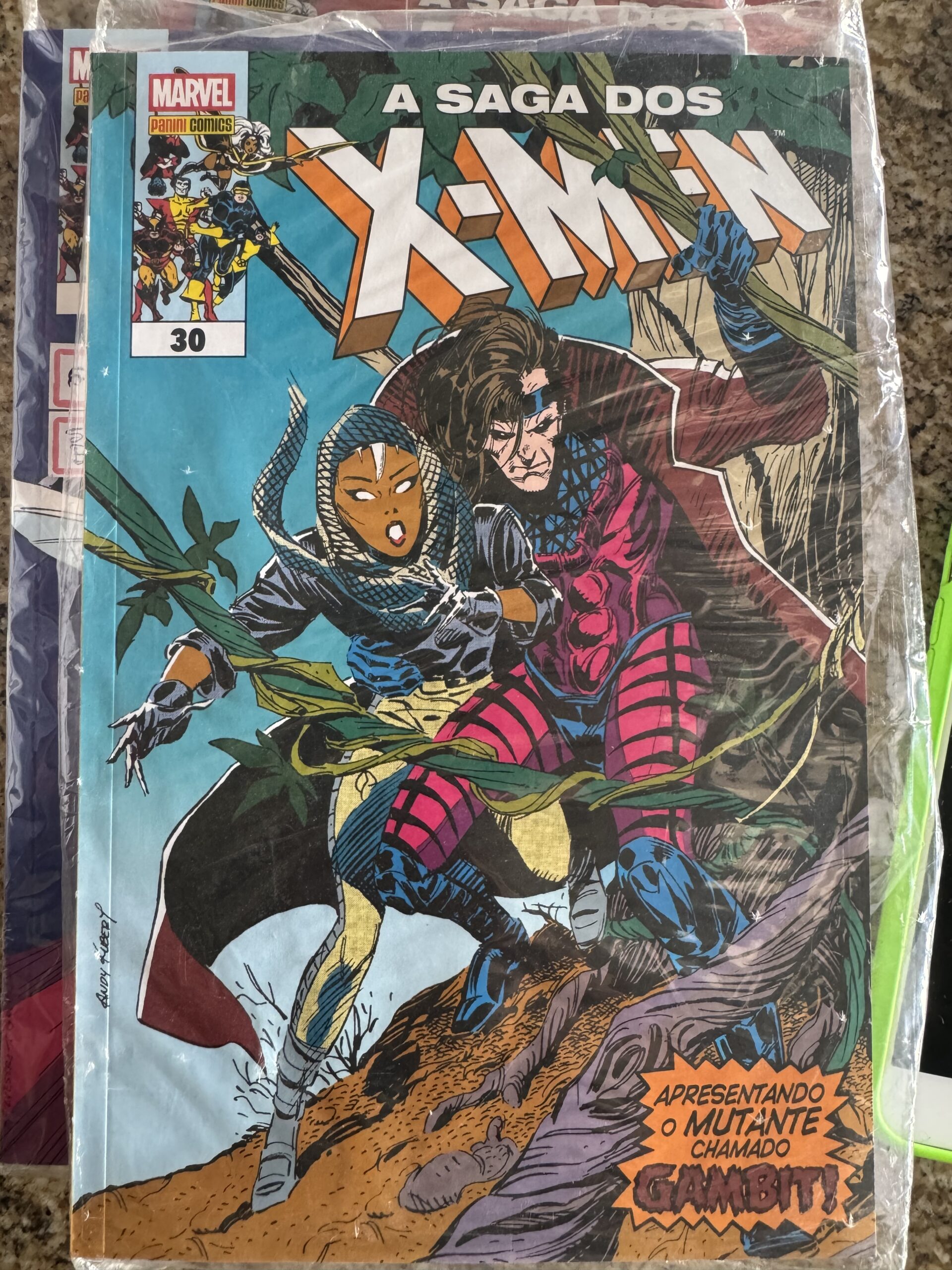 A Saga dos X-Men Vol. 30