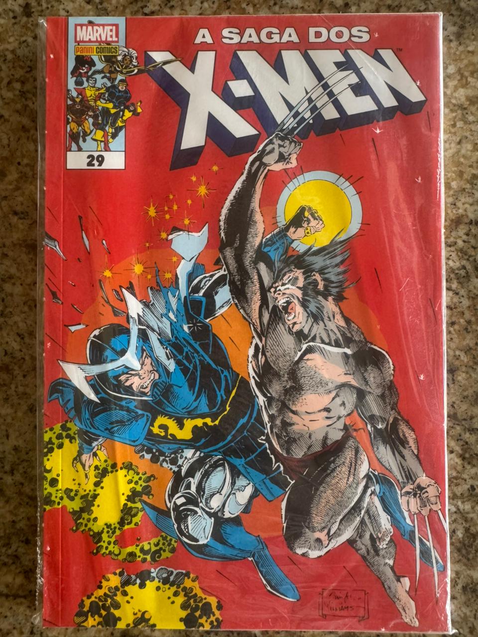 A Saga Dos X-Men Vol. 29