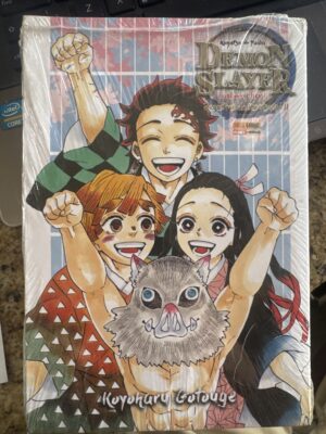 Demon Slayer Kimetsu No Yaiba Registros do Kisatsutui II